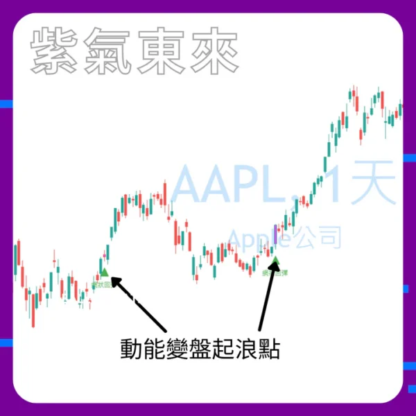 Ace Navi 紫氣東來 (一年期)