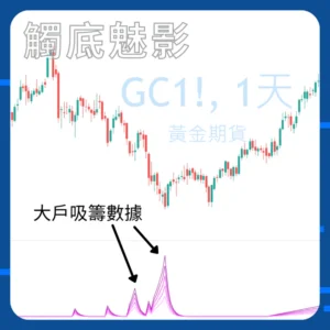Ace Navi 觸底魅影 (一年期)