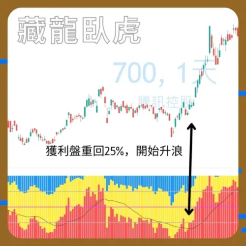 Ace Navi 藏龍臥虎 (一年期)