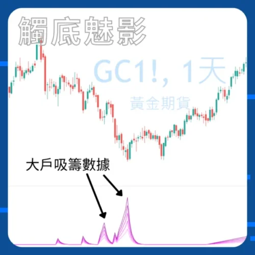 Ace Navi 觸底魅影 (一年期)