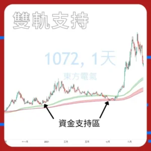 Ace Navi 雙軌支持 (一年期)